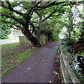 Knatchbull Close footpath, tree, electricity substation and stream, Romsey