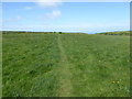 Ceredigion Coast Path west of Aberporth