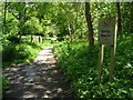 Ddol Bach / Little Meadow, Llanfair Talhaiarn