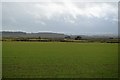 Flat farmland near Rhyl