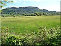 A sea of grass, south-west of Tremadog