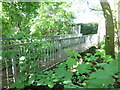 Footbridge over the River Sherbourne