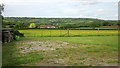 Fields at Hounsley Batch