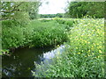 The River Roding from the Three Forests Way