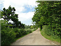 Driveway to Hold Farm