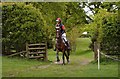 SJ6938 : Brand Hall Horse Trials: hedge gap on cross-country course by Jonathan Hutchins