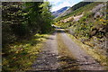 NH0148 : Achnashellach Forest track by jeff collins