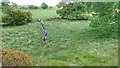 Public Footpath across a Tributary of Dalton Beck