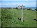TV5996 : Eastbourne from the South Downs Way by Marathon