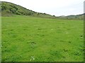 SH5349 : Daisy strewn meadow, Cwm Pennant by Christine Johnstone