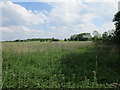 View towards the A164