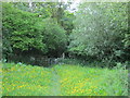 Entrance to Cawkeld Sinks Plantation