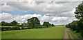 Track towards Kings Clipstone