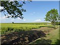 Highfields in the shadow of Covenham reservoir embankment