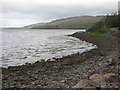 NM8312 : Shore of Loch na Cille by M J Richardson