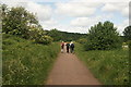 View along the path beside Forest View into the forest