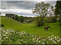 Sheltered grazing near Keldgate Road