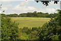 View of Yates Meadow from Hawk Wood