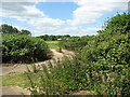 Concreted track by Mink Farm