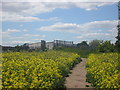 Footbridge over the railway at Church Field, Rossington