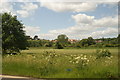 View of houses on Forest View from Bury Road #5