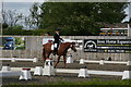 Dressage to Music Freestyle dressage at Port Royal Equestrian