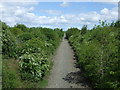 The former Leamside Line Railway