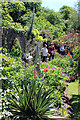 Winchelsea Open Gardens