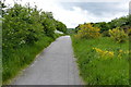 Bridleway to Kings Clipstone