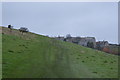 Footpath to Worth Matravers