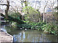 The "New River" east of Canonbury Road