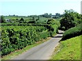 Rusham Road, near Wingham