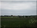 Over  fields  to  Dunkeswell  airfield