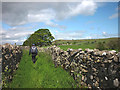 Footpath to Park Lane