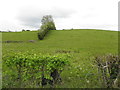 Drumnakilly Townland