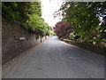 Haugh End Lane - viewed from Brockwell Gate