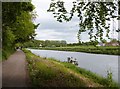 NZ2842 : The River Wear, looking across to the University sports ground by Derek Voller