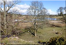 NS8431 : View north-eastwards  from the site of Douglas Castle by kim traynor