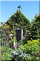 Winchelsea open gardens