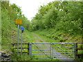 Ystwyth Trail near Crosswood