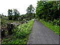 H5848 : Aghindarragh Road, Carrickavoy by Kenneth  Allen
