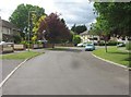 View along Blackthorn Crescent