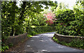 The bridge at Goosnargh Mill