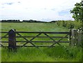 Field of grass for silage beside the A1068