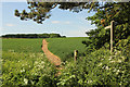 Footpath to Whiteley Plantation