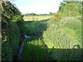 Cripsey Brook at Shelley Bridge (2)