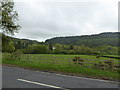 The wide valley of the Ystwyth near Llanafan