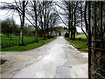 SO5707 : Clearwell Castle entrance drive by Jaggery
