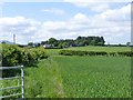 Looking across cereal fields to Broomhouse