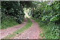 Farm Track towards the Ouse Valley Way